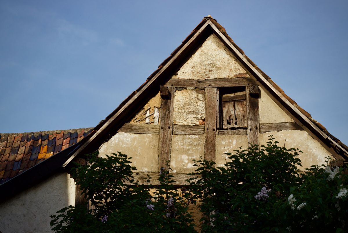 Sondage des bois de structure